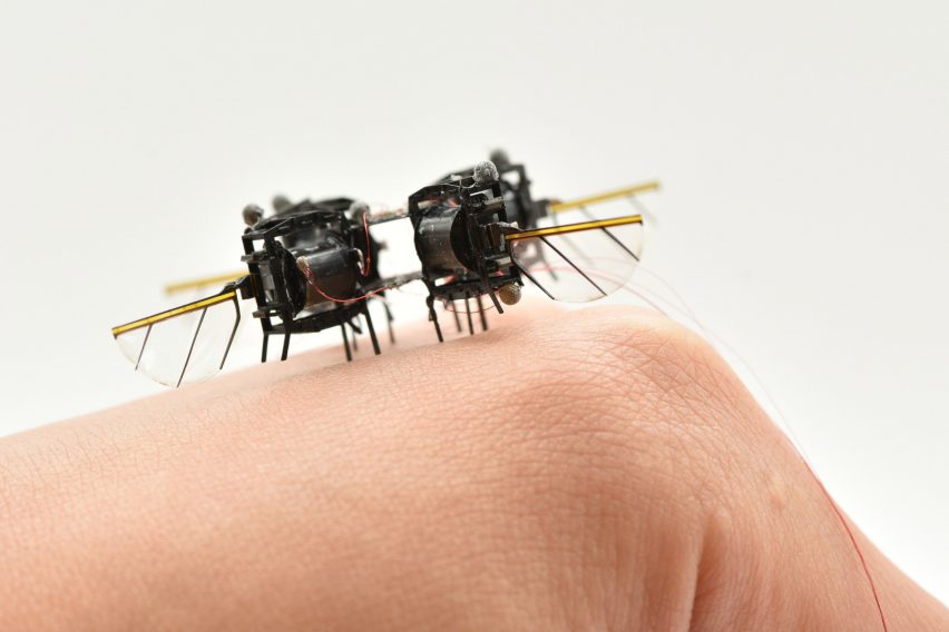 Bee-sized robot