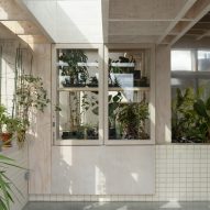 Greenhouse cabinet in Tabberner Cook House by James Alder Architects