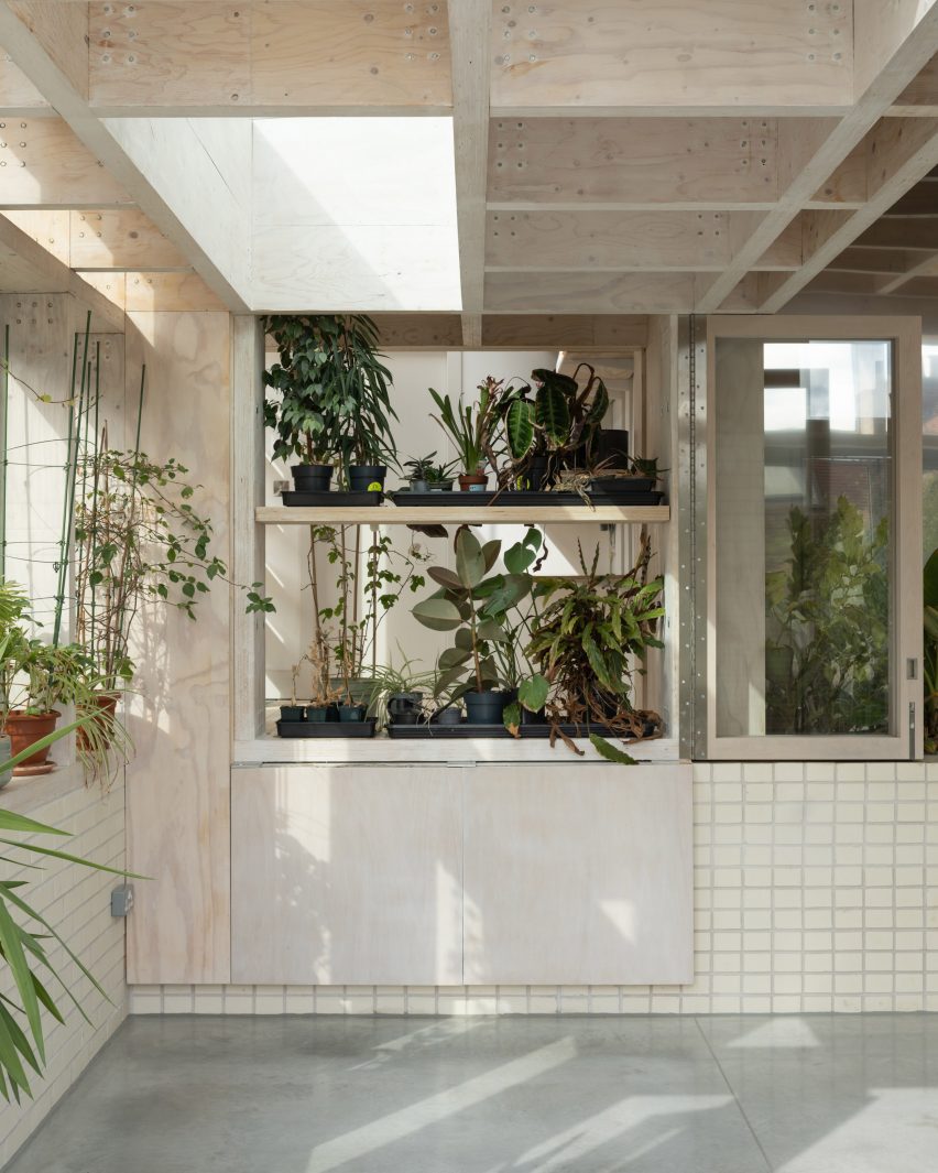 Green house cabinet open in Tabberner Cook House by James Alder Architects
