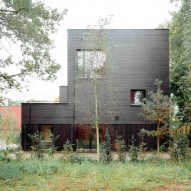 Common Woods by Space&Matter