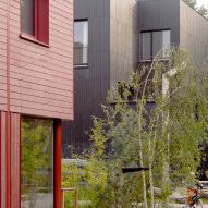 Common Woods by Space&Matter