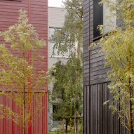 Common Woods by Space&Matter