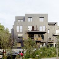 Common Woods by Space&Matter