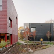 Common Woods by Space&Matter