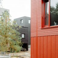 Common Woods by Space&Matter