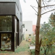 Common Woods by Space&Matter