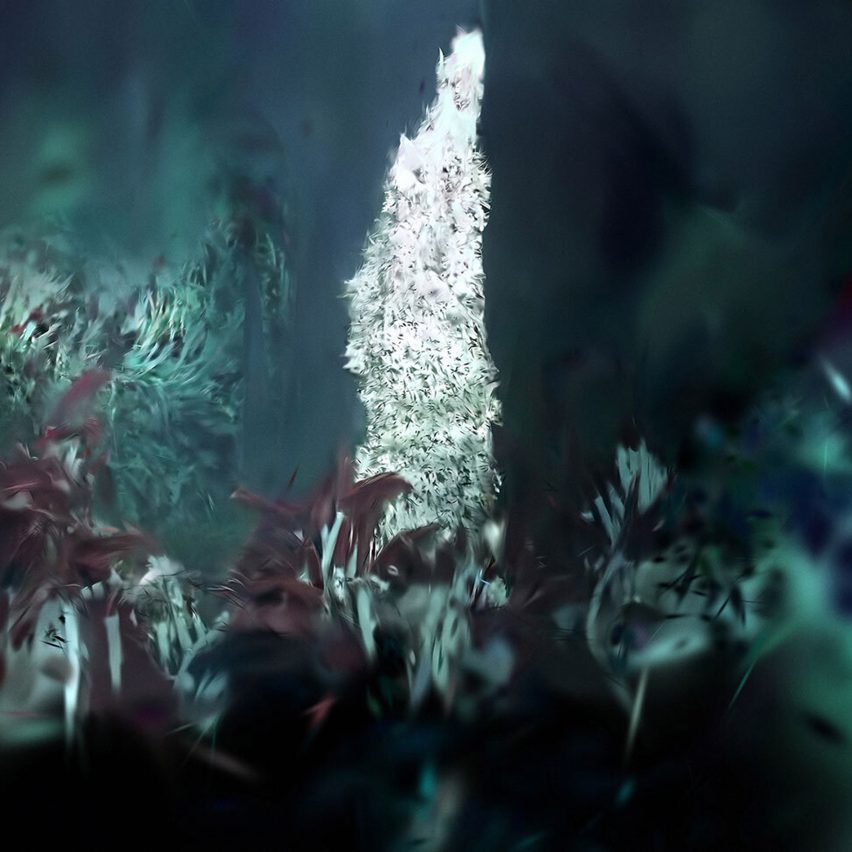 a visualisation of a plant
