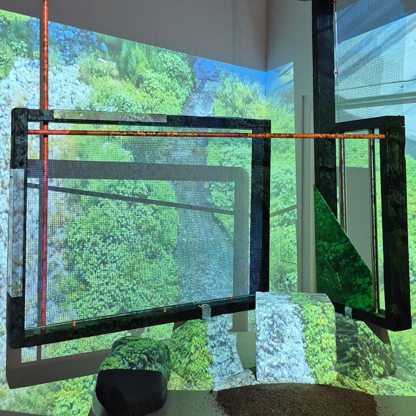 a projection of trees onto a wall
