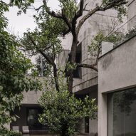 Zenhouse by Studio Nirvana