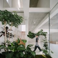 Internal landscaping on ground floor of guesthouse