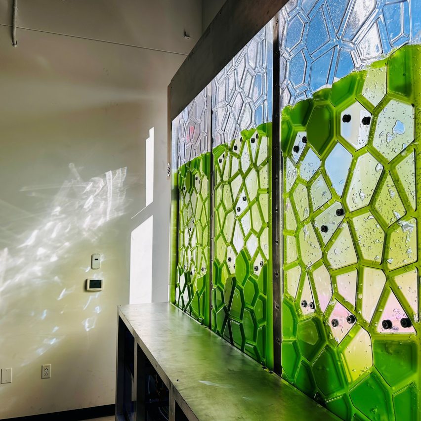 a classroom window with a green structure on it