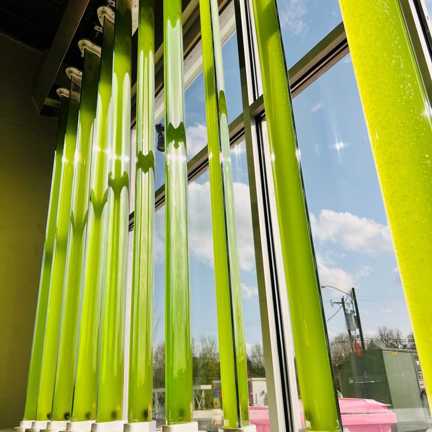 green blinds in front of a window