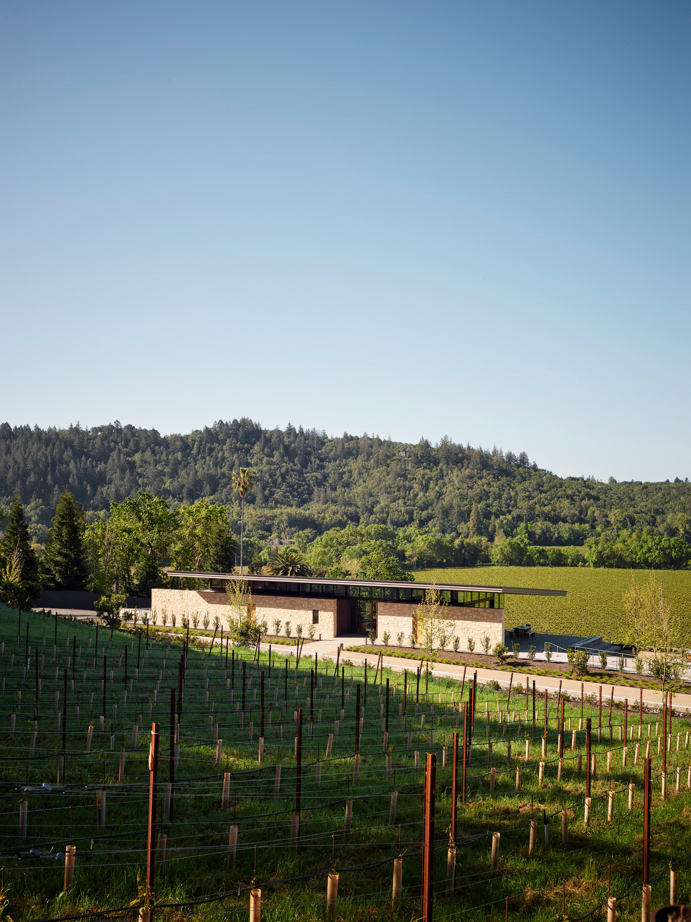 Auteur Russian River winery in California by Bohlin Cywinski Jackon