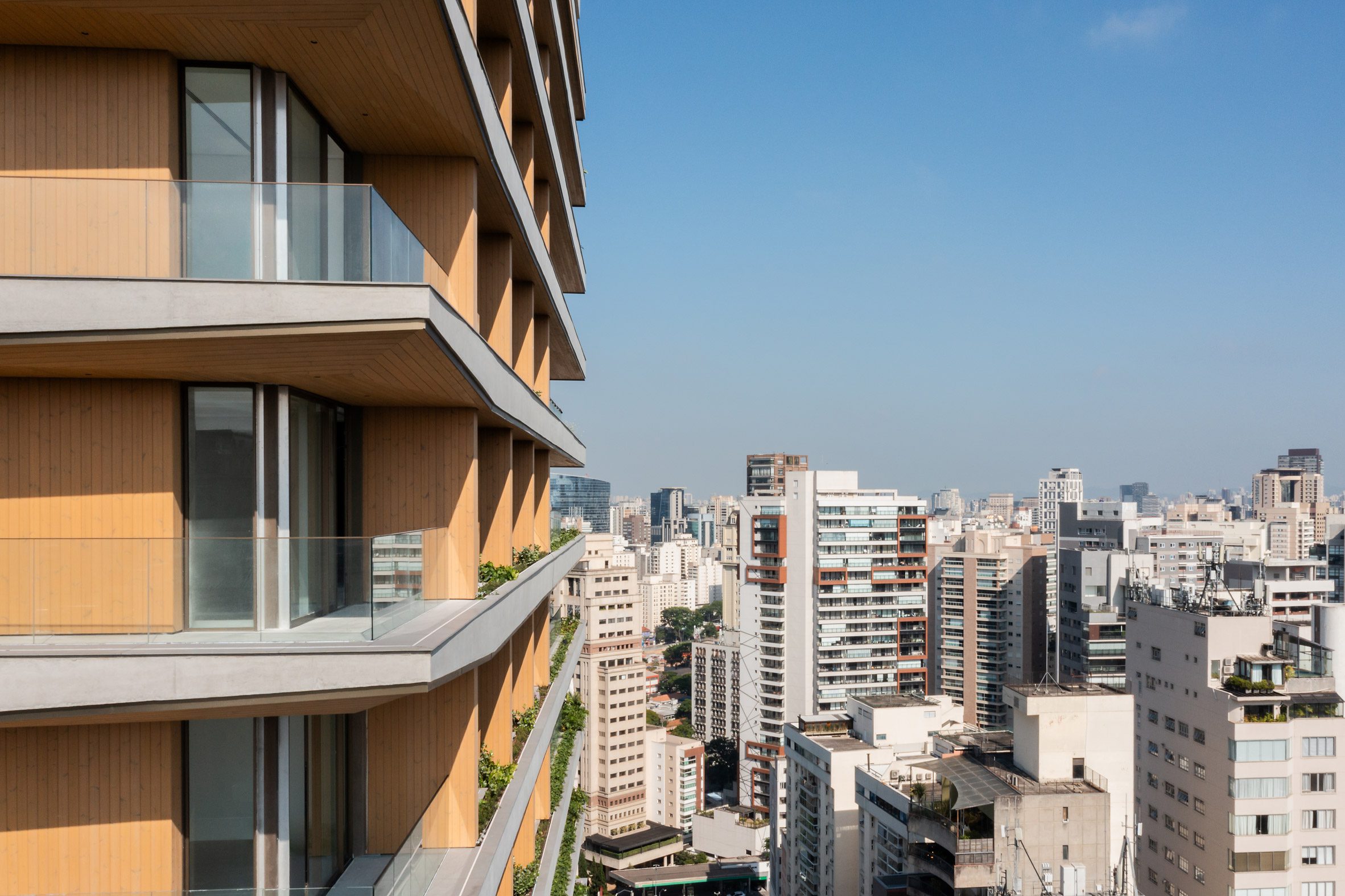 Konigsberger Vannucchi project in Brazil