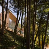 Cedar's Kin house in Canada by Omar Gandhi Architects