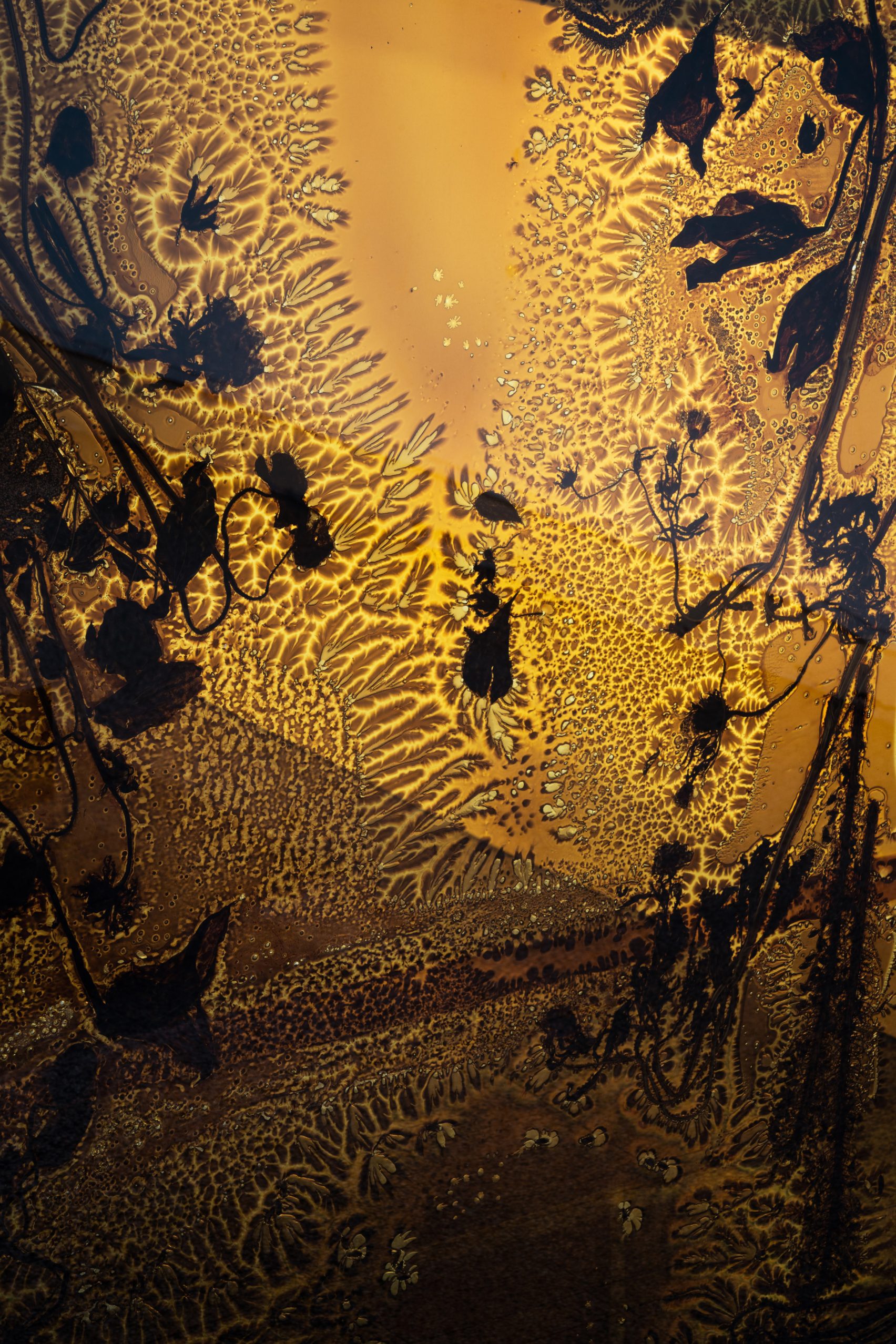 Post image 10