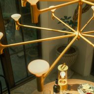 Root chandelier by Tala