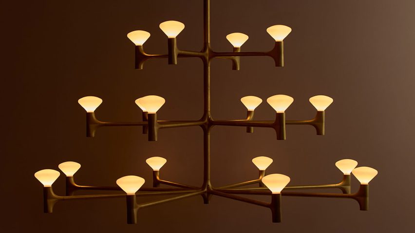 Root chandelier by Tala