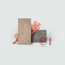 Display of bacteria-grown floor tiles