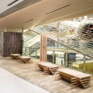 Ginza Six traces life of single Yoshino cedar tree across three-year art project in Tokyo