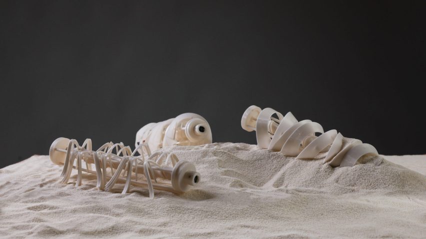 Images of three small objects laying on sand.