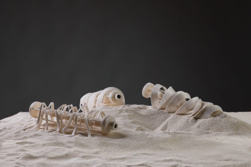 Images of three small objects laying on sand.