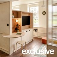 CIAO organises London micro flat around multifunctional plywood wall