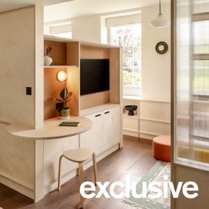 CIAO organises London micro flat around multifunctional plywood wall