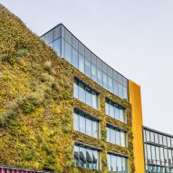 Researchers warn plastic-potted green walls could pose "Grenfell nightmare"