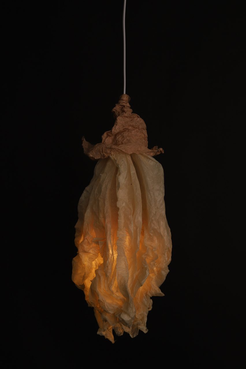 Living Participants by Oscar Nicol-Schwarz