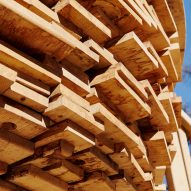 Silk Wood Playscape at Westonbirt Arboretum by Pearce+, Invisible Studio and Lean Structures