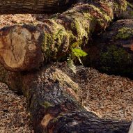 Silk Wood Playscape at Westonbirt Arboretum by Pearce+, Invisible Studio and Lean Structures
