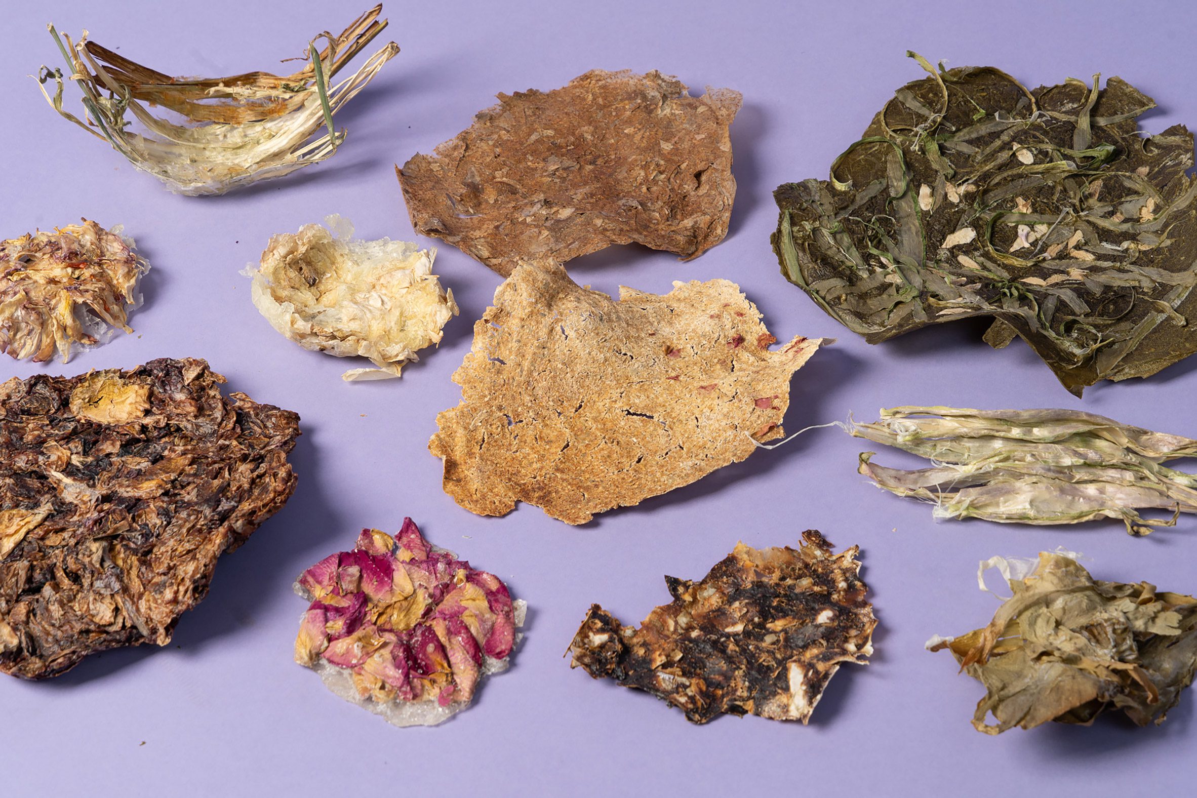 Photo of material made from botanic waste