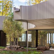 Desai Chia shapes New York house to "cast shadows that mimic nature"