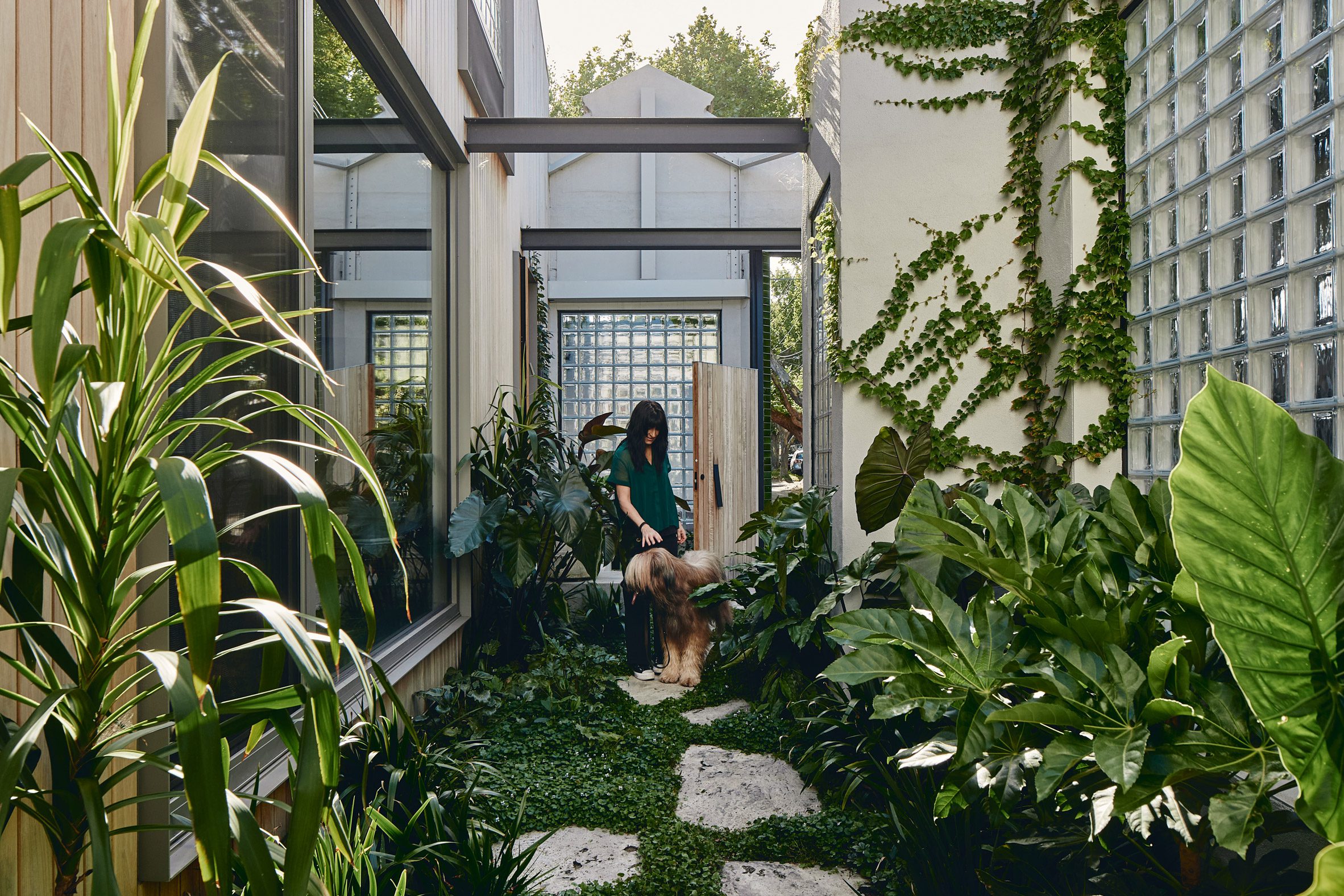 The Corner Shop Kister Architects internal courtyard
