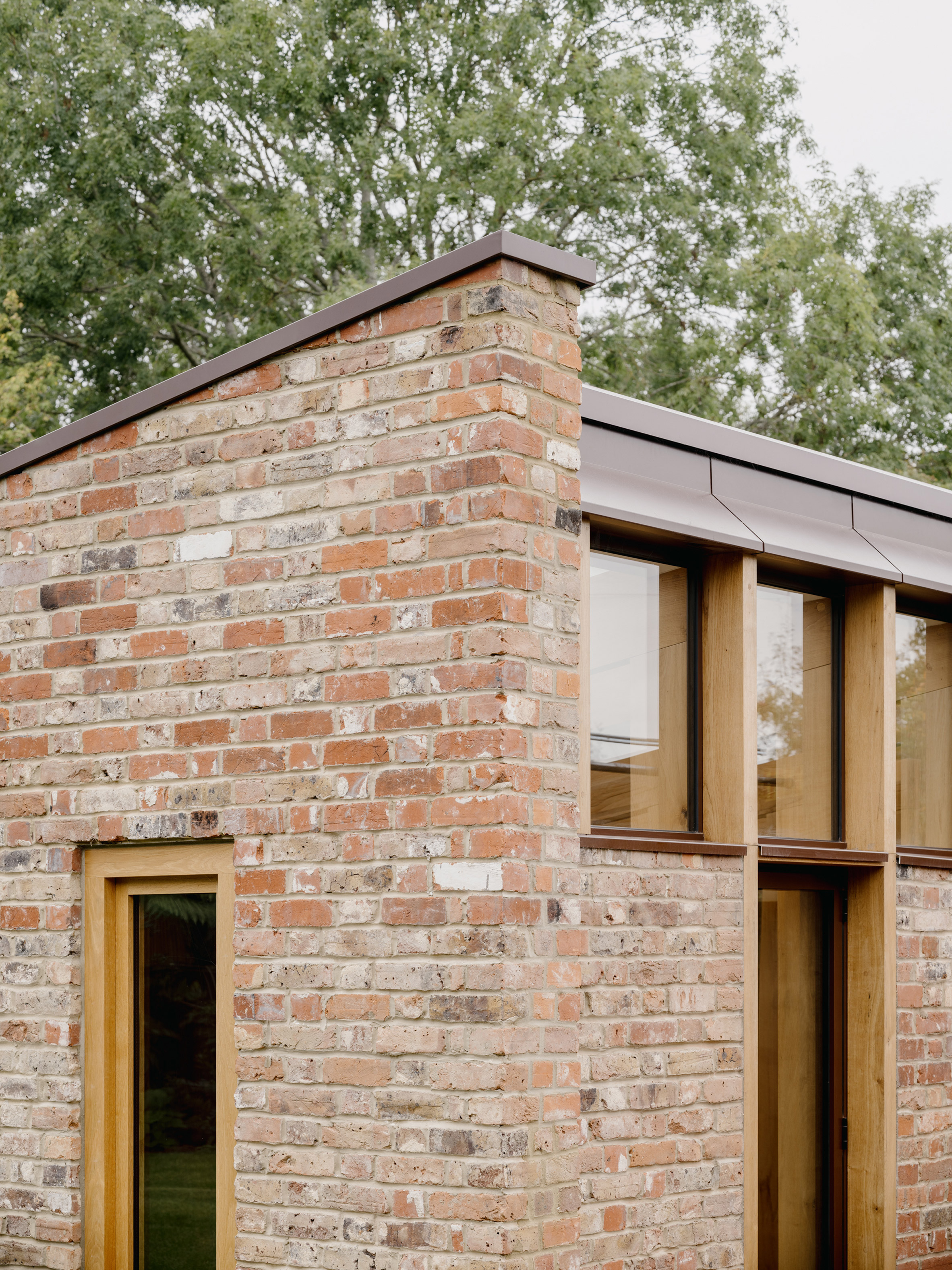 Сад с тропическими растениями от Tom Massey Studio. Фото: Will Gamble Architects