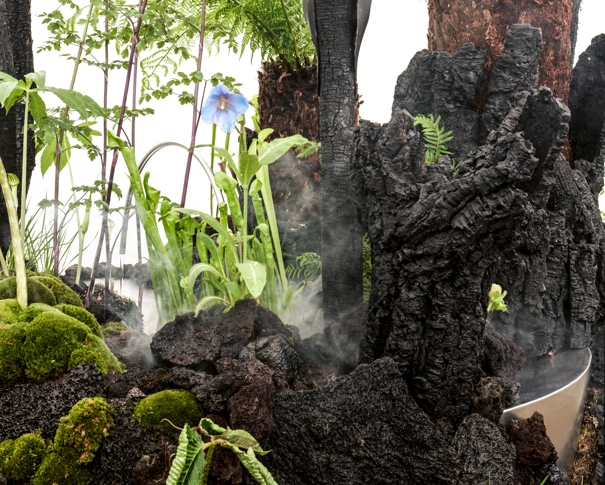 Instalación de roca de lava en Chelsea Flower Show