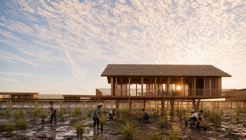 Riverwake: Immersive Advocacy for Florida Everglades by Nicole Hammond