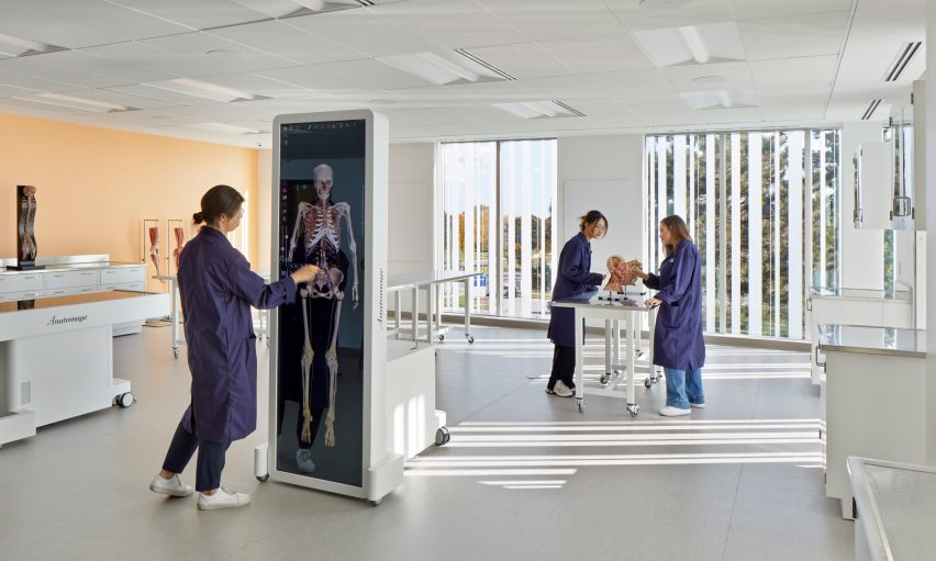 A bright classroom with medical teaching equipment
