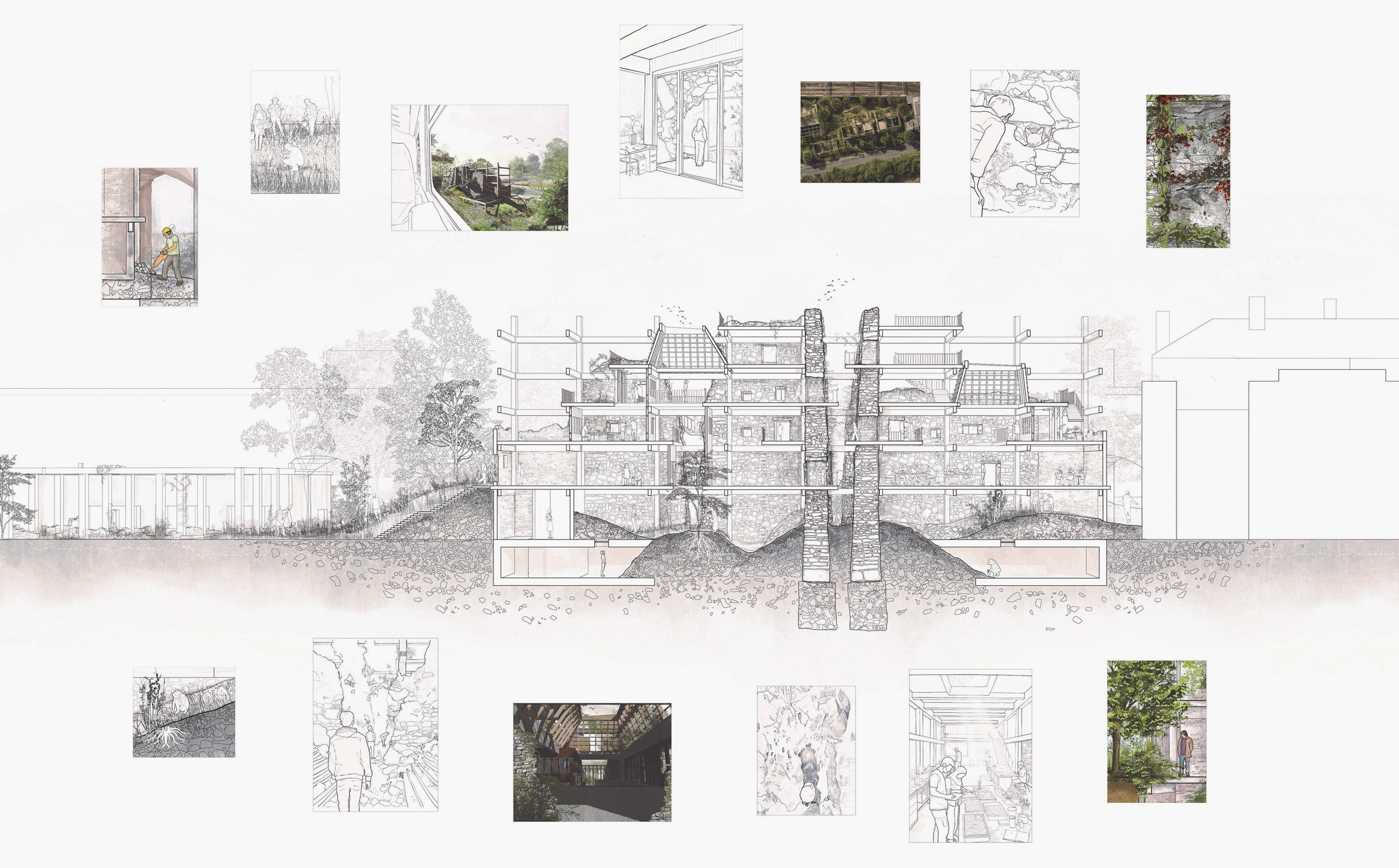 Sectional view of building with detailed renders around it