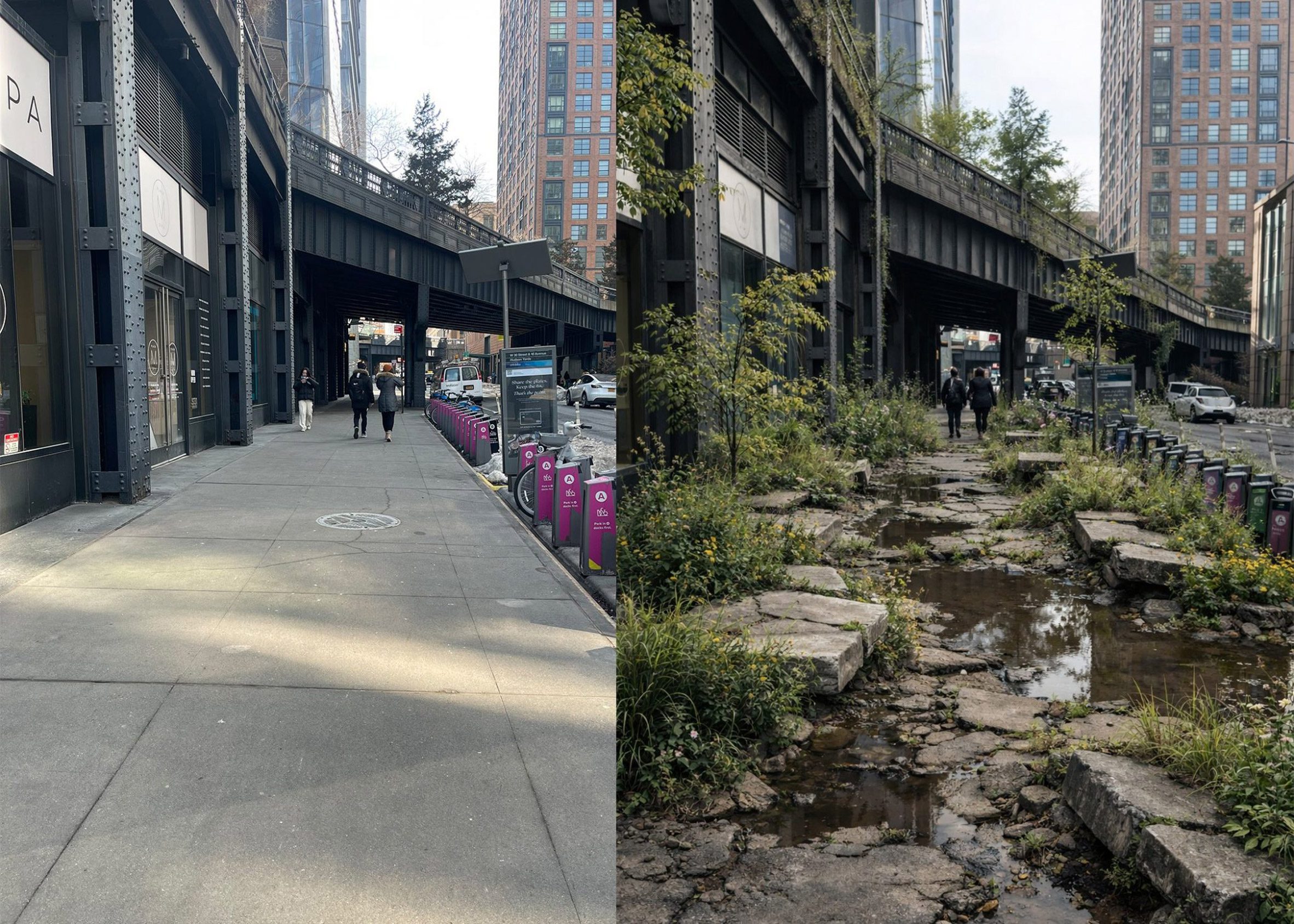 Photo of a street next to an edited version with plants