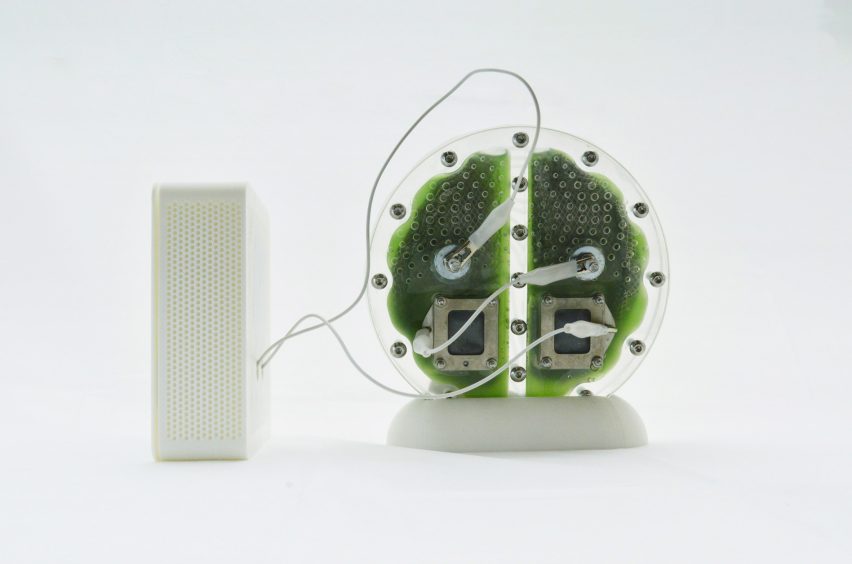 Photo of the back of the University of Cambridge's circular biophotovoltaic panel filled with blue-green algae, showing wires and connectors leading from the device