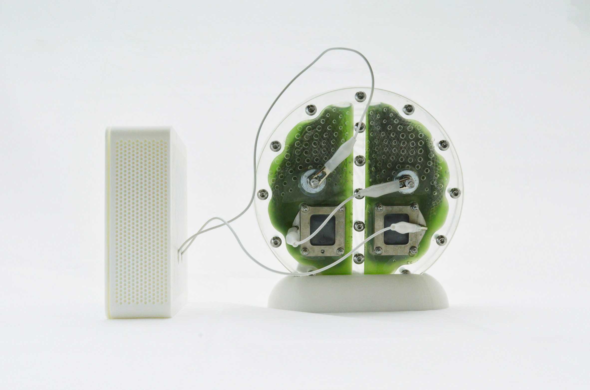 Photo of the back of the University of Cambridge's circular biophotovoltaic panel filled with blue-green algae, showing wires and connectors leading from the device