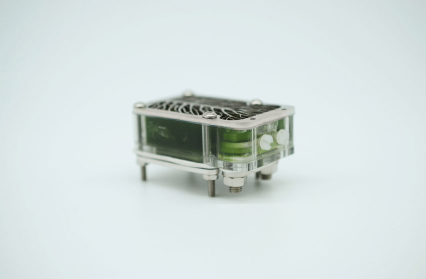 Photo of the University of Cambridge's algae biocell on its side showing a transparent domino-shaped case held together by thin metal plates and screws and filled with green goo