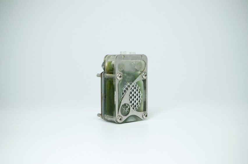 Photo of the back of the University of Cambridge's algae biocell showing a perforated transparent rectangular case filled with green goo