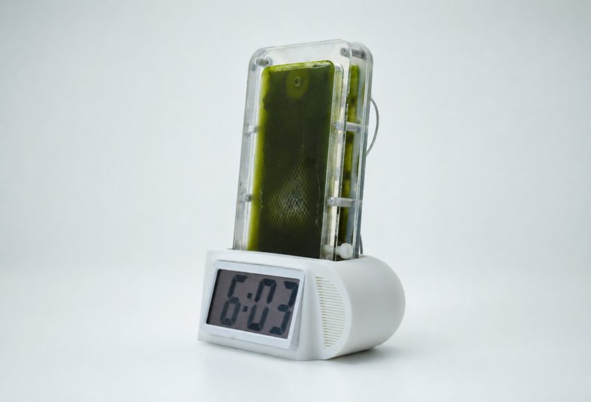 Photo of a rectangular biophotovoltaic panel filled with blue-green algae sticking out of the top of an everyday clock radio