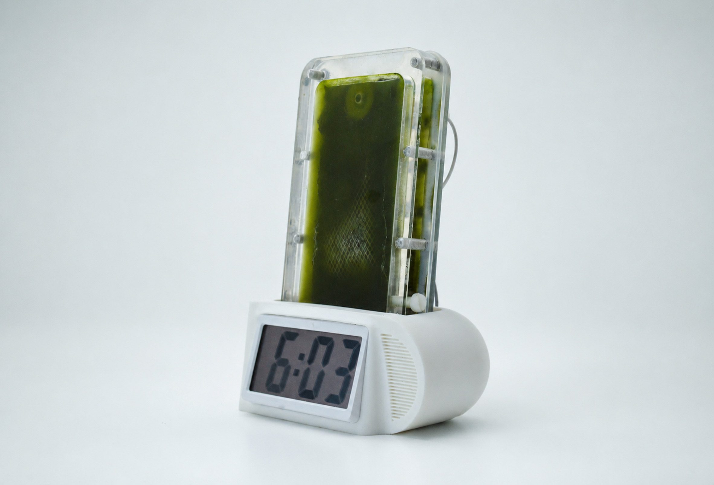 Photo of a rectangular biophotovoltaic panel filled with blue-green algae sticking out of the top of an everyday clock radio