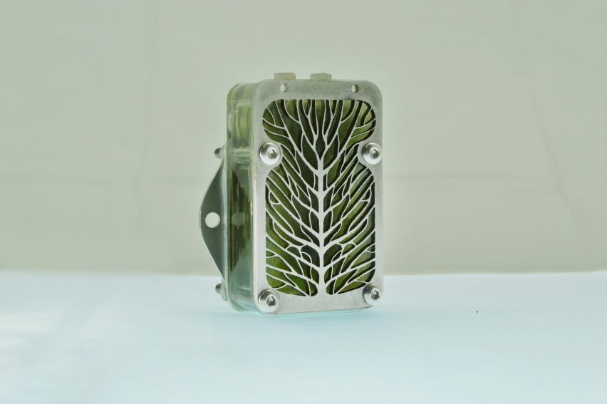 Photo of the University of Cambridge's demonstrator algae biocell showing a fine metal leaf vein design on the front plate