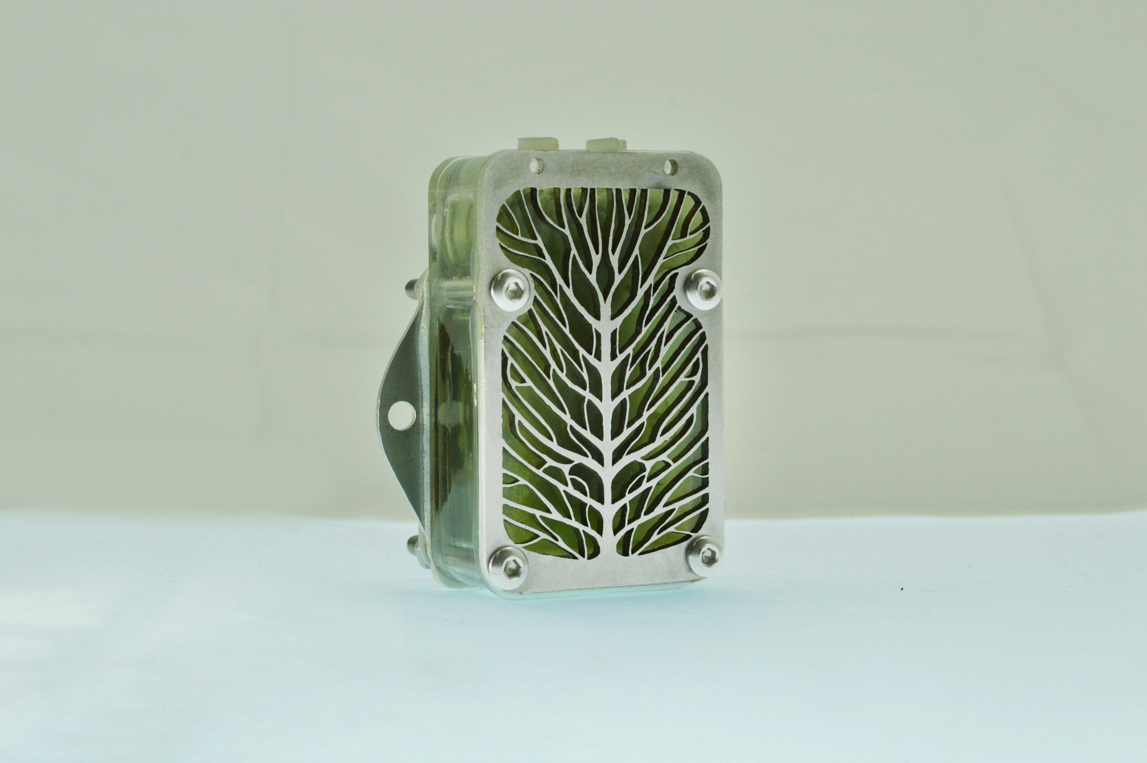 Photo of the University of Cambridge's demonstrator algae biocell showing a fine metal leaf vein design on the front plate