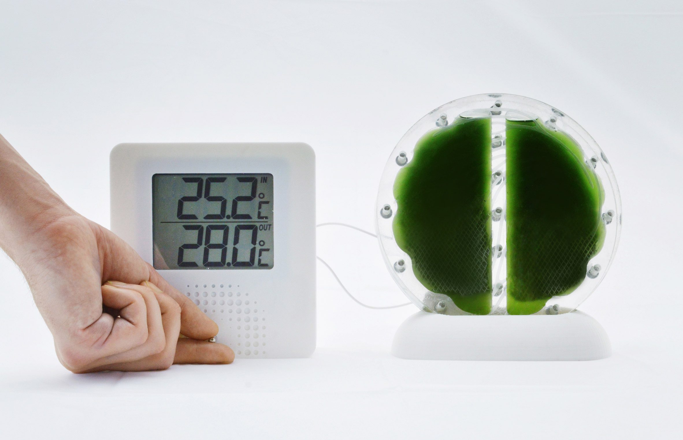 Photo of a temperature sensor powered by an attached circular biophotovoltaic panel filled with green fluid
